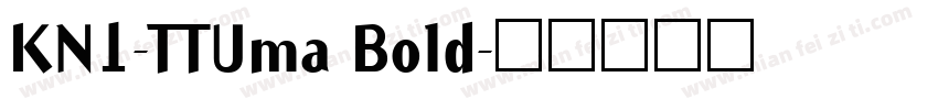 KN1-TTUma Bold字体转换